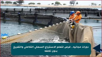 دورات مجانية.. فرص لتعلم الاستزراع السمكي التكاملي والتفريخ بدون تكلفة